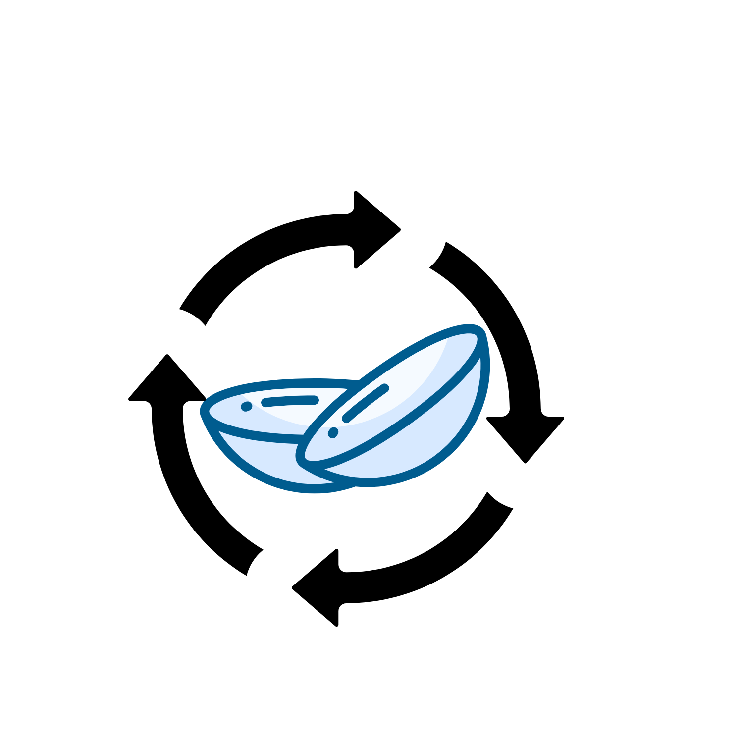 Survey: Scleral lens life cycle