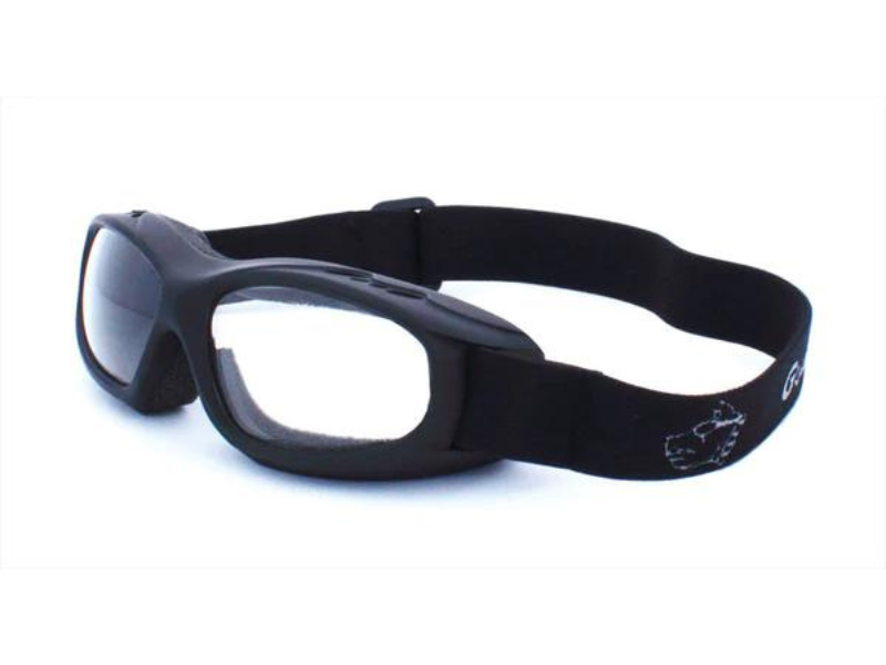 Guard store dog goggles